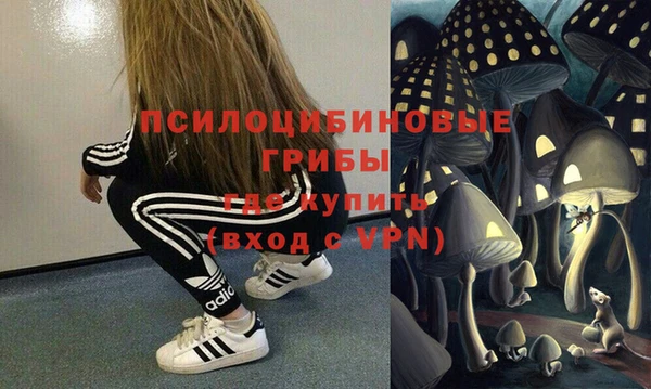 экстази Ладушкин
