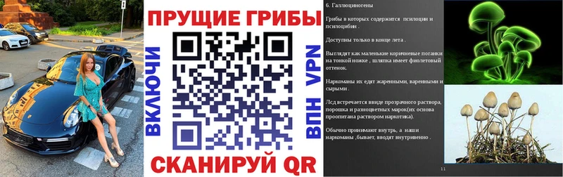 Галлюциногенные грибы GOLDEN TEACHER  Купить закладки  Кунгур 
